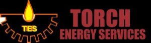 TORCH ENERGY SERVICES LIMITED
